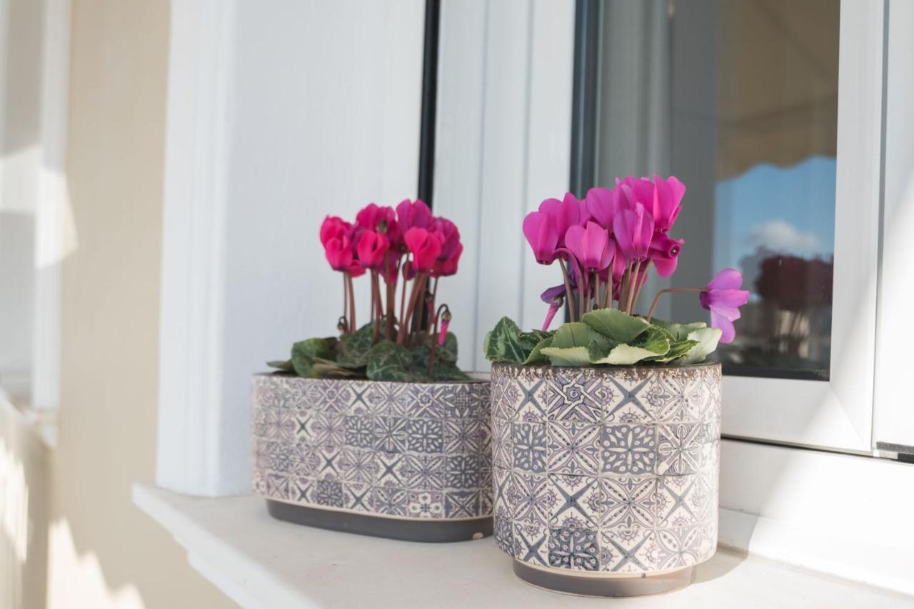 דירות Athens Terrace 360° מראה חיצוני תמונה